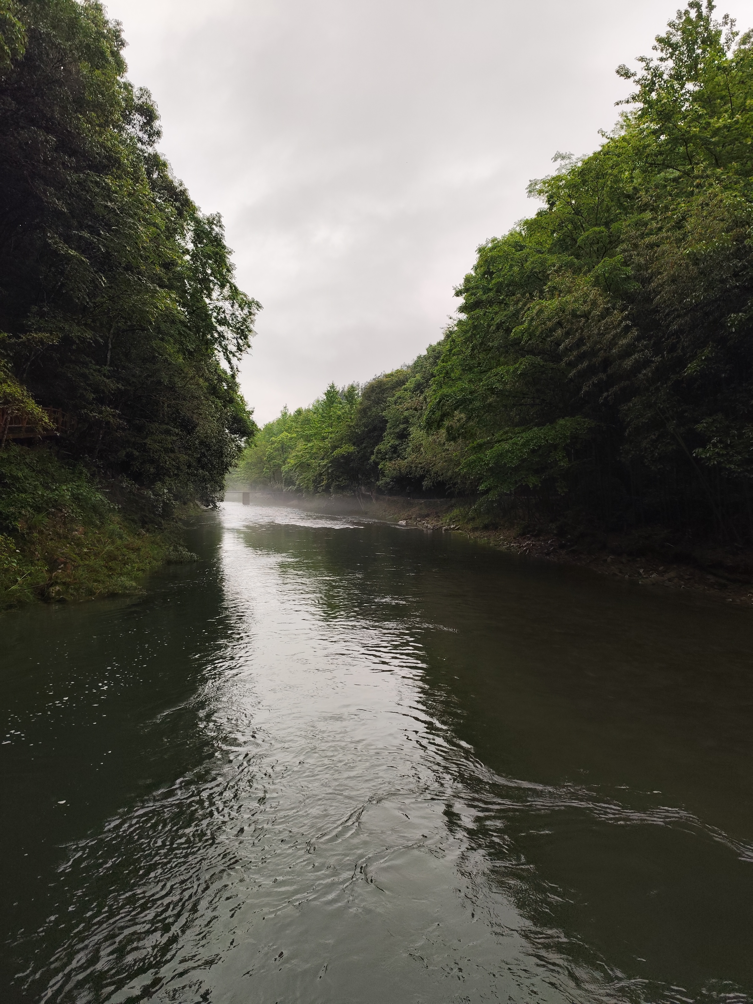 IMG_20240504_102215.jpg