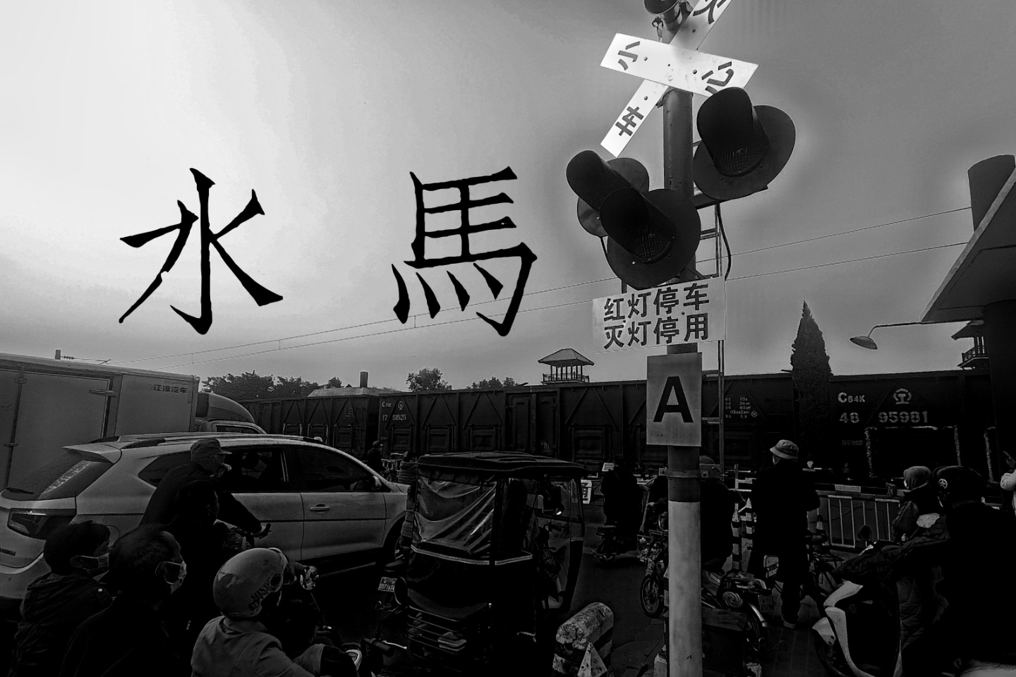 水马（丁螺环酮） - 庭院一角