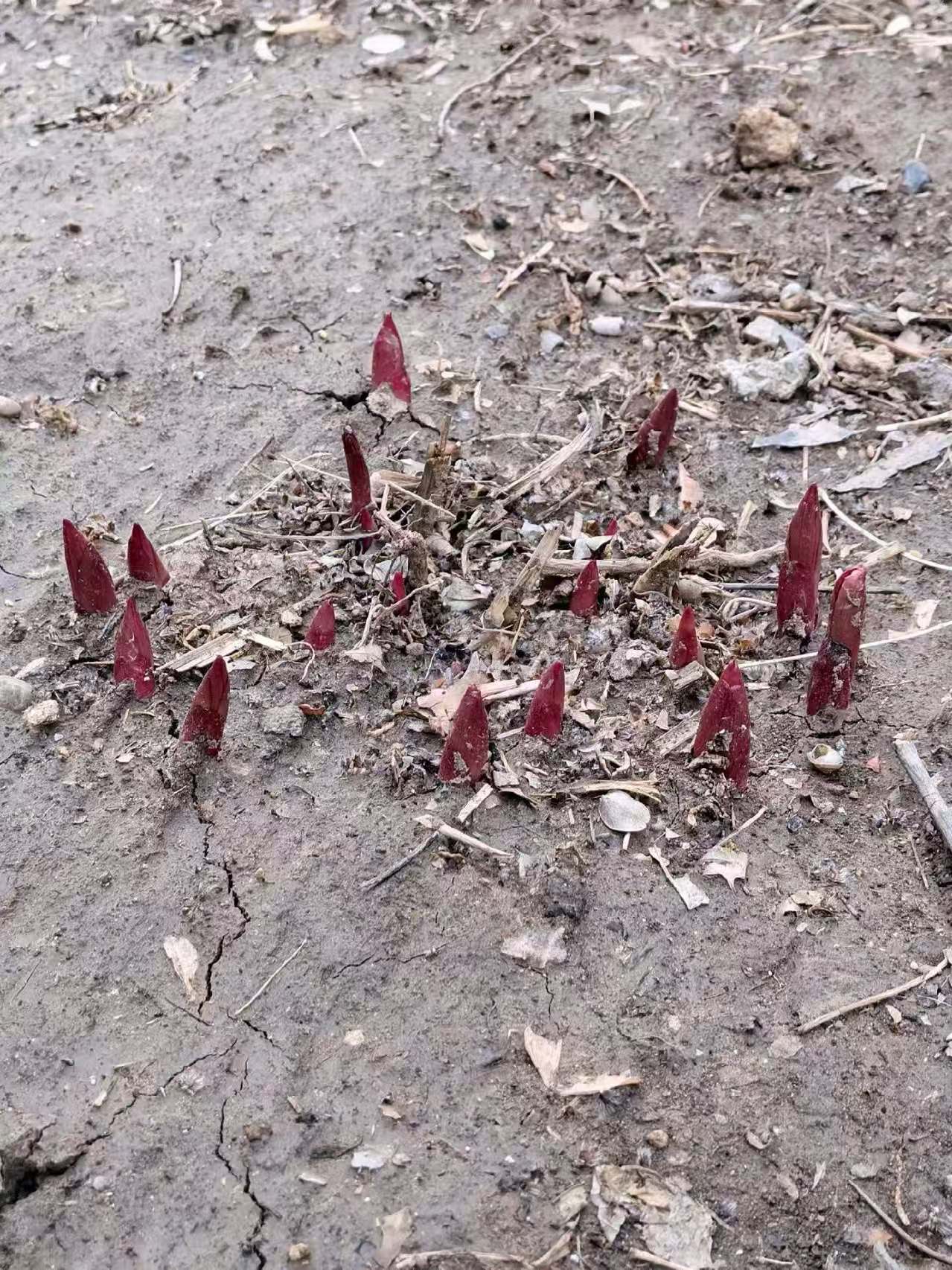 微信图片_20260424202551_40_70.jpg