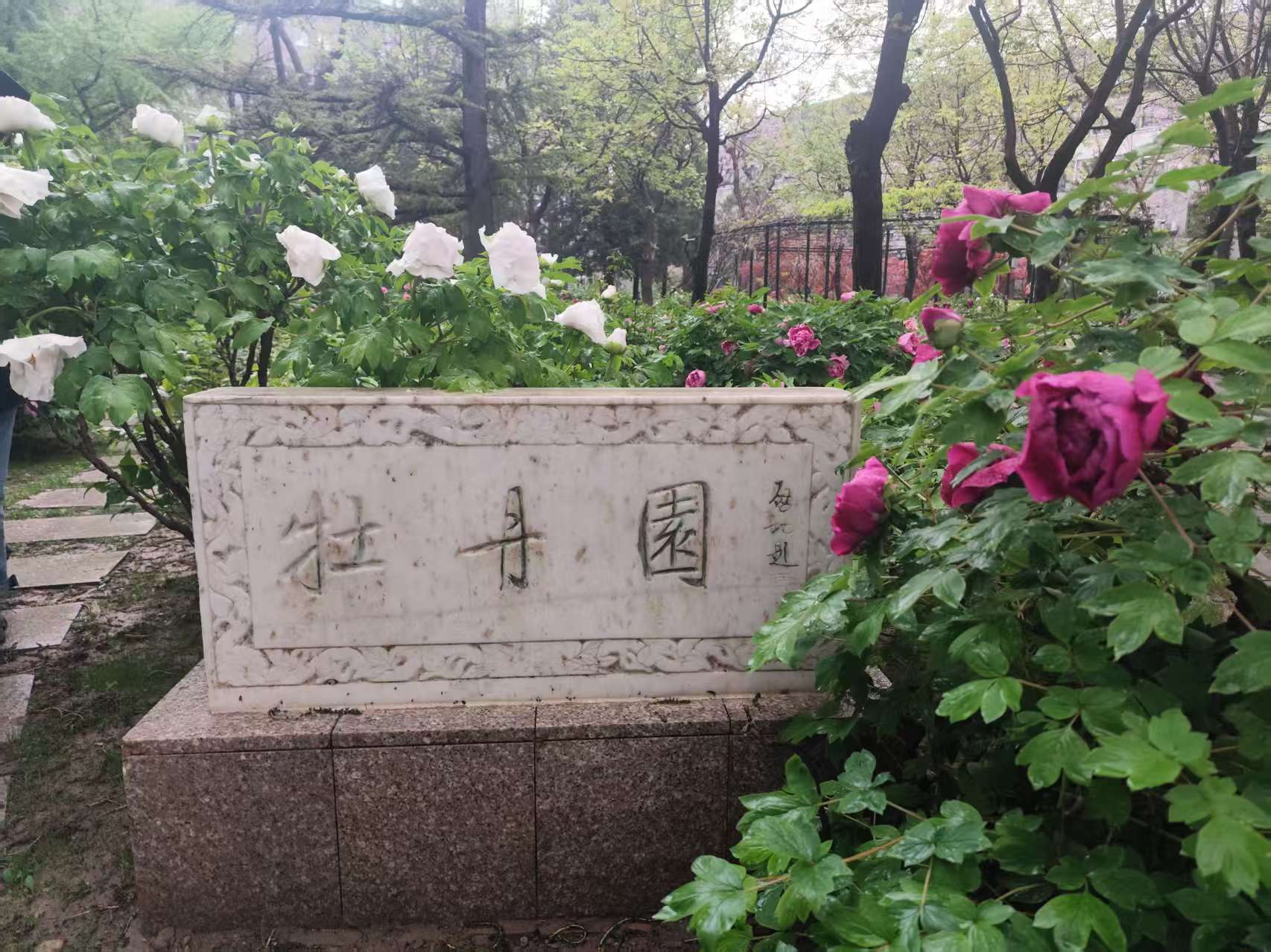 微信图片_20260424202549_38_70.jpg