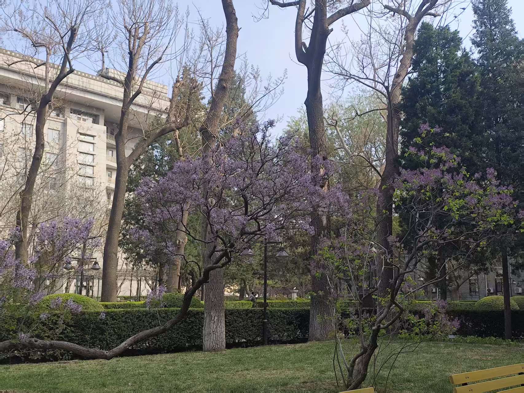 微信图片_20260424202552_41_70.jpg